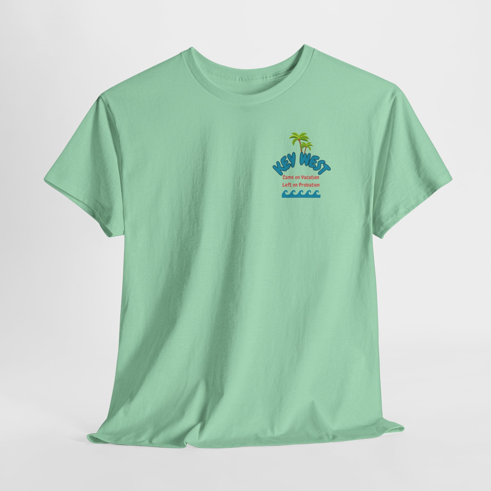 Visit Key West come back with a new reputation. Unisex Heavy Cotton Tee, Tropical Summer Shirt, Beachwear Gift, Vacation Outfit, Fun Casual Style