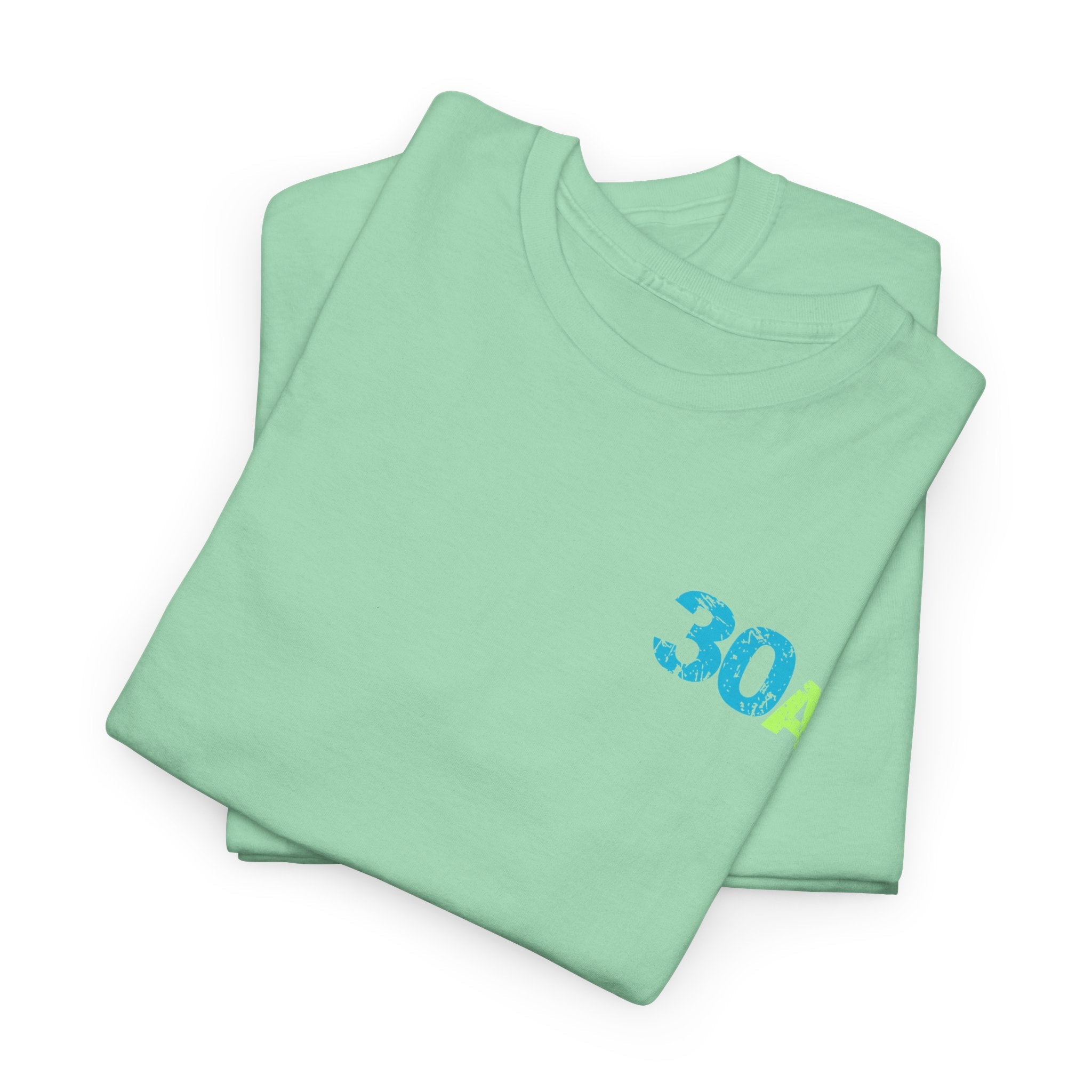 Distressed 30A Beach Logo Unisex Heavy Cotton T-Shirt — Emerald  Coastal Highway Vacation Tee