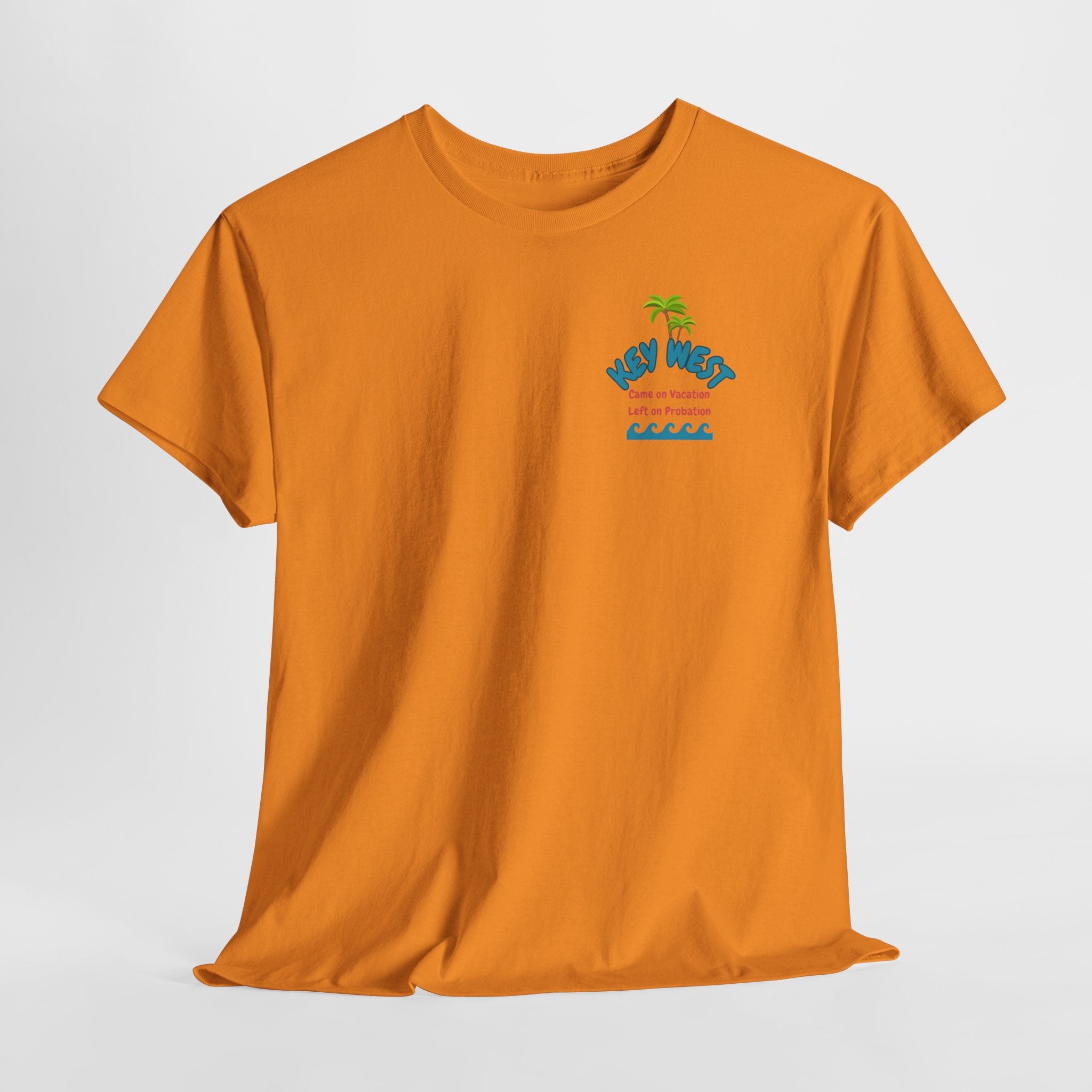 Visit Key West come back with a new reputation. Unisex Heavy Cotton Tee, Tropical Summer Shirt, Beachwear Gift, Vacation Outfit, Fun Casual Style