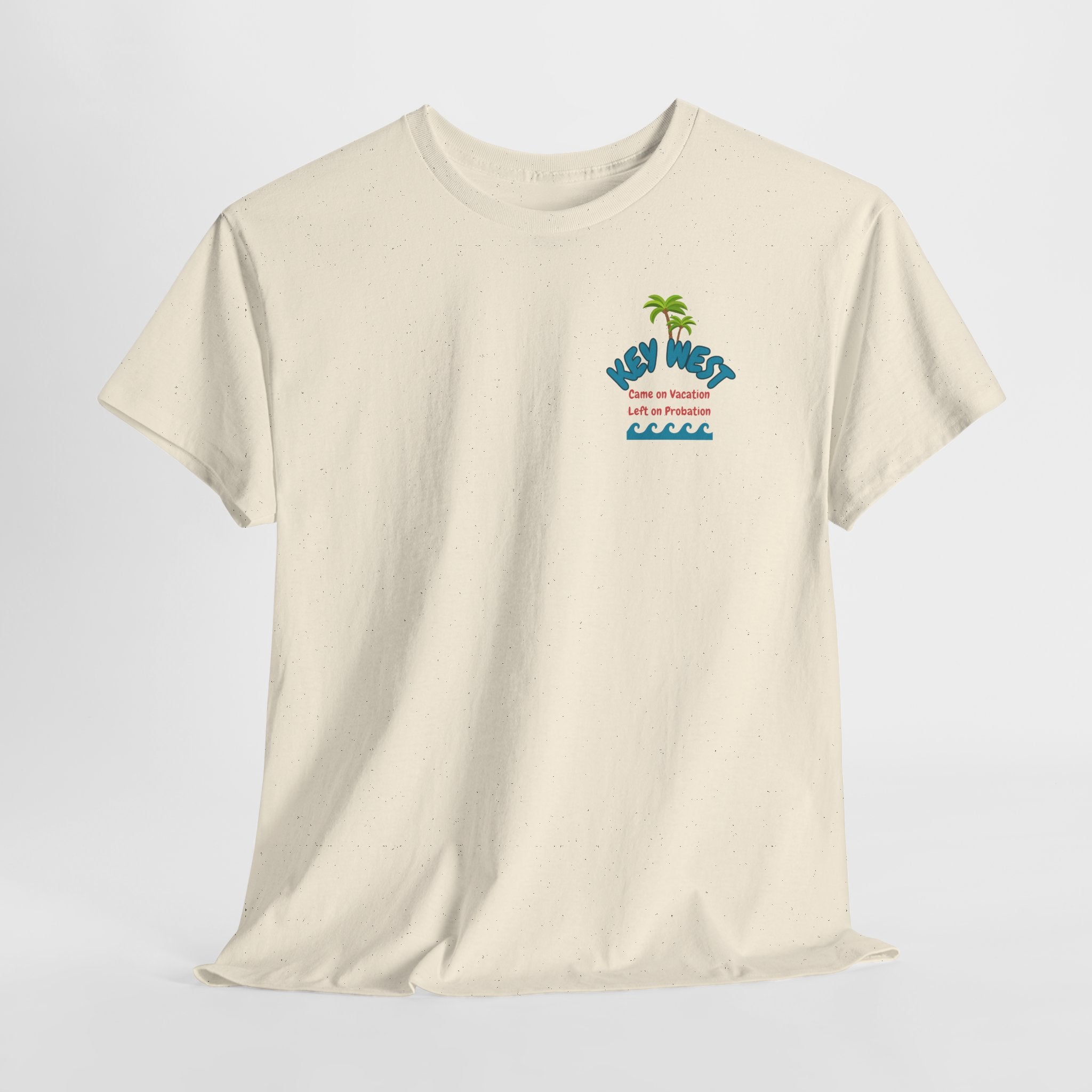 Visit Key West come back with a new reputation. Unisex Heavy Cotton Tee, Tropical Summer Shirt, Beachwear Gift, Vacation Outfit, Fun Casual Style