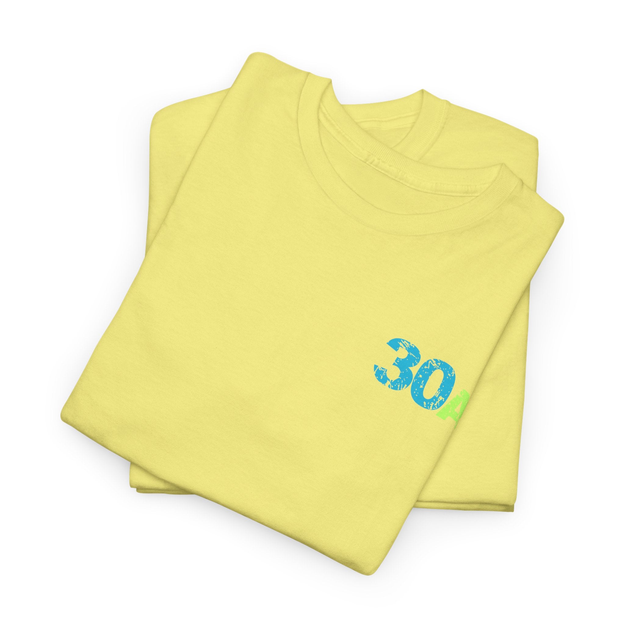 Distressed 30A Beach Logo Unisex Heavy Cotton T-Shirt — Emerald  Coastal Highway Vacation Tee