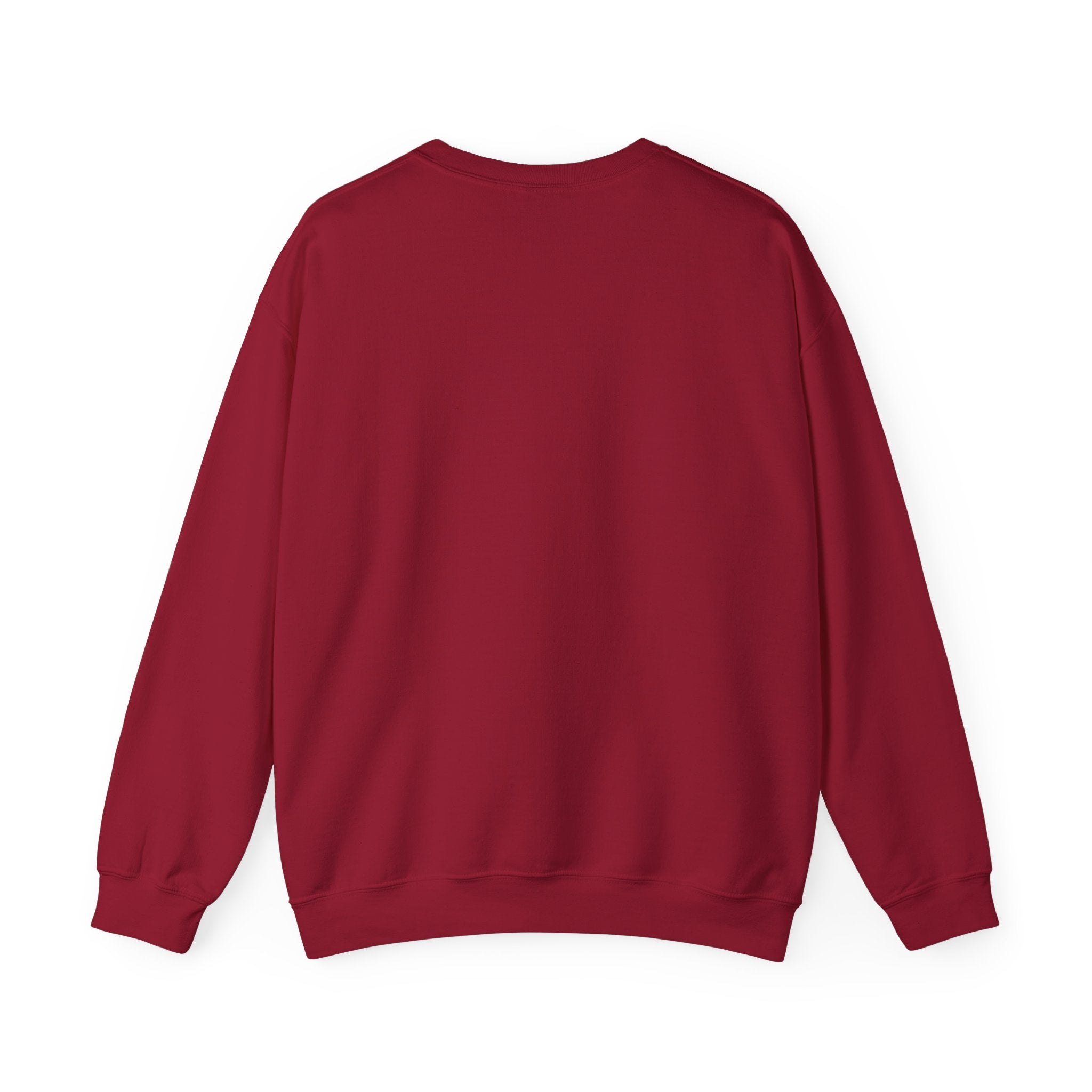Funny and Naughty Christmas Unisex Crewneck Sweatshirt — "Ready for a Little Snow & Tell?" Santa Graphic